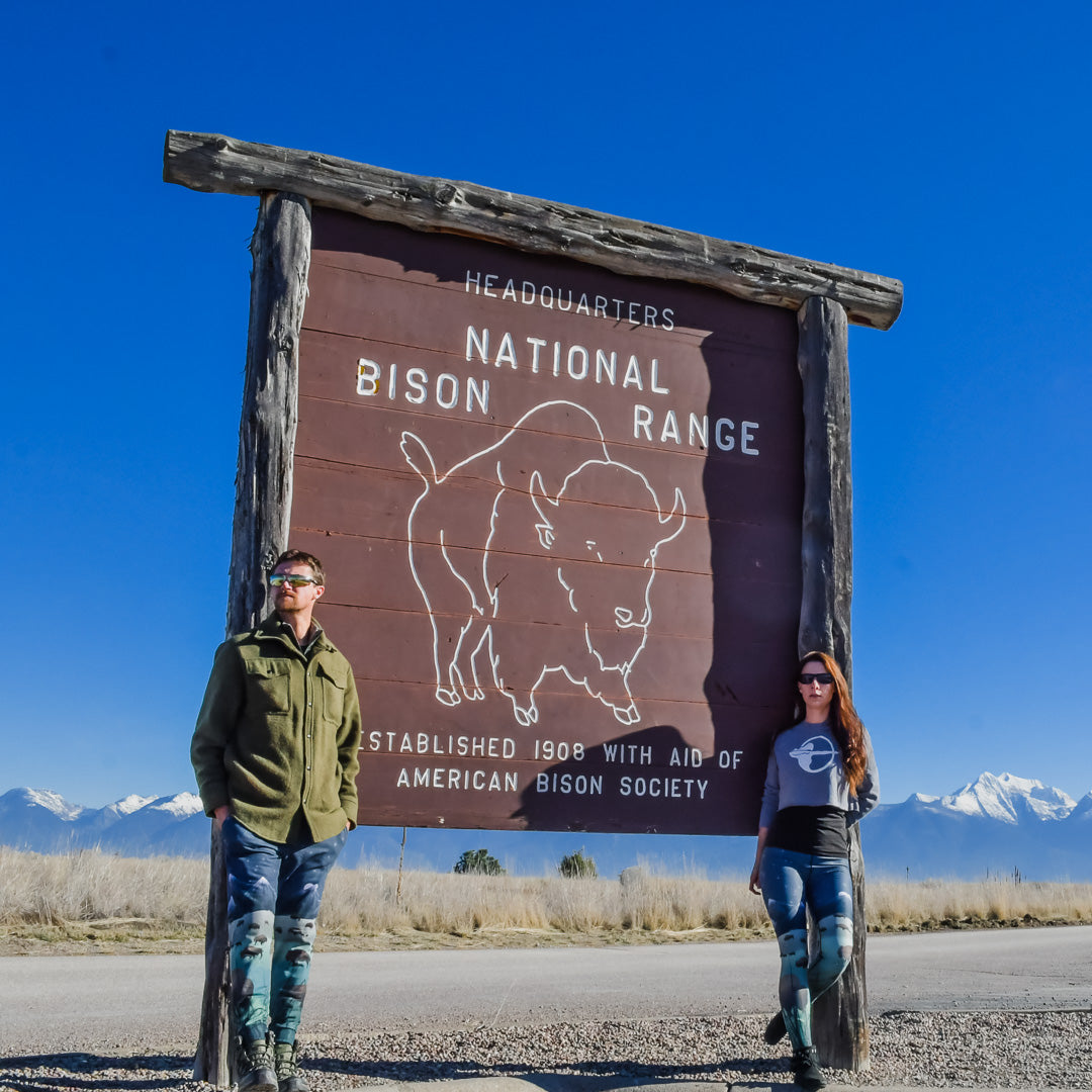 New Collection: Bison Lumination