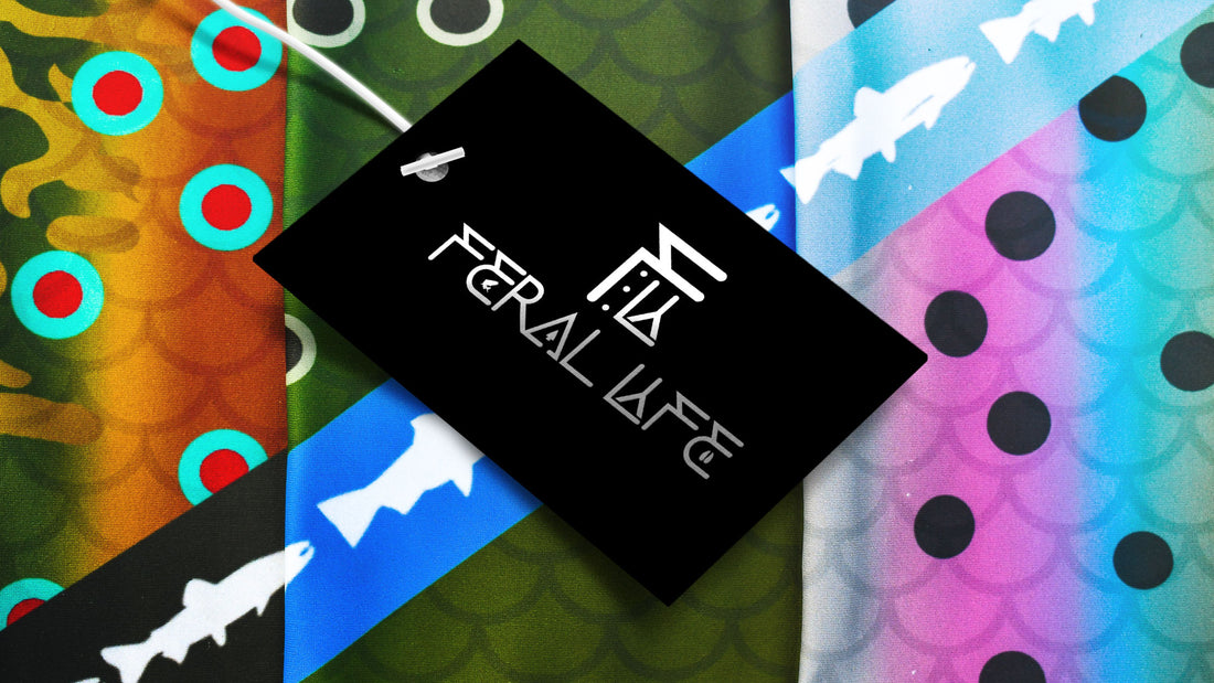 Behind the Seams: The Rebrand