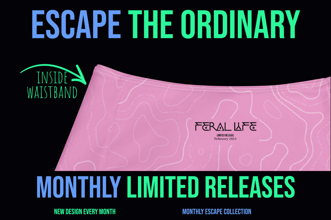 Escape the Ordinary with Our Monthly Legging Releases