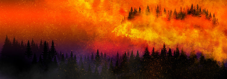 WyldFire