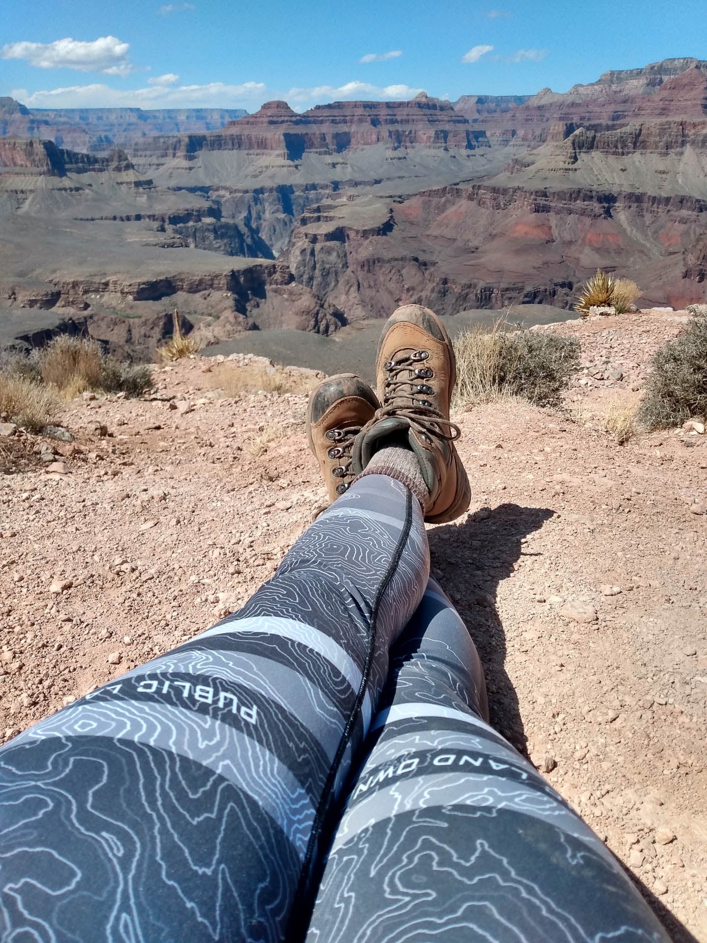 BHA x Feral Lyfe - Public Land Owner - Leggings