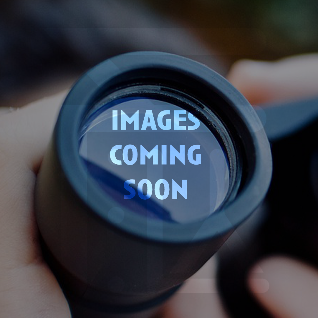 Feather Dance - Adventure Dress