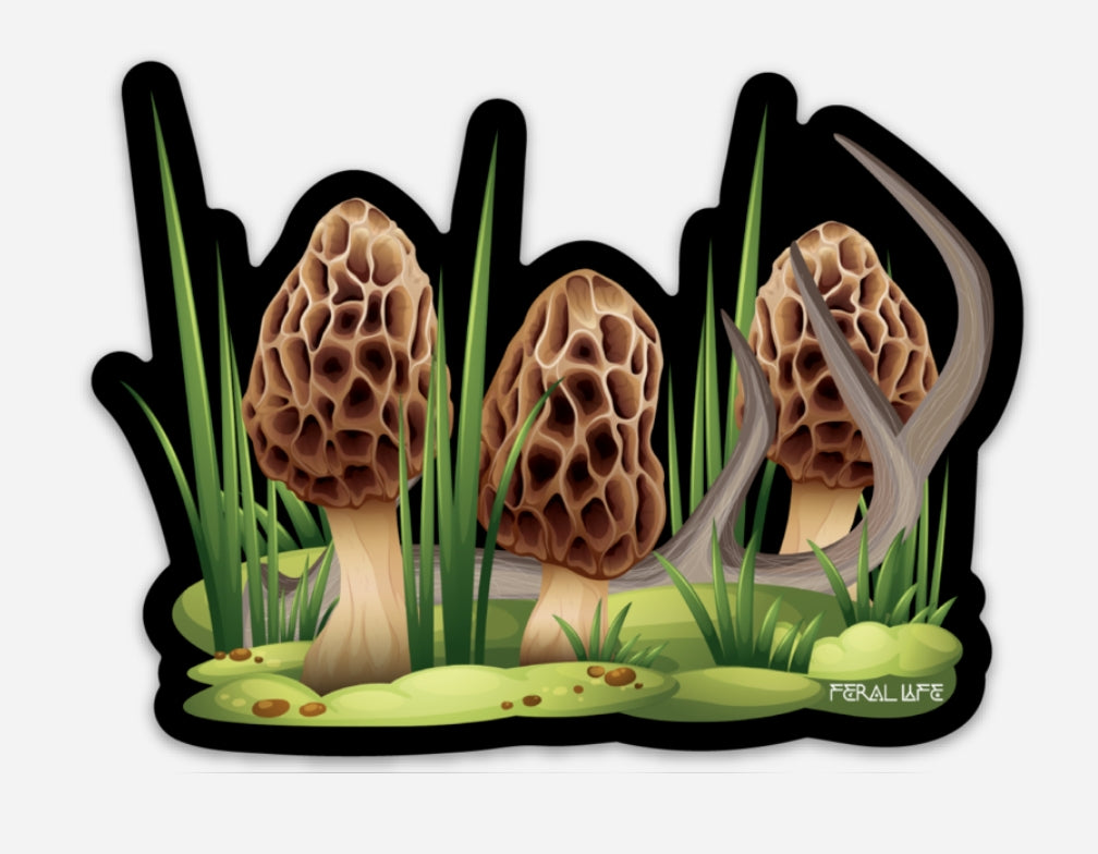 Morel Spell - Sticker