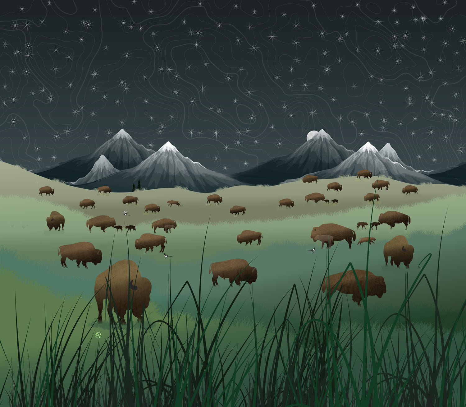 Bison Lumination