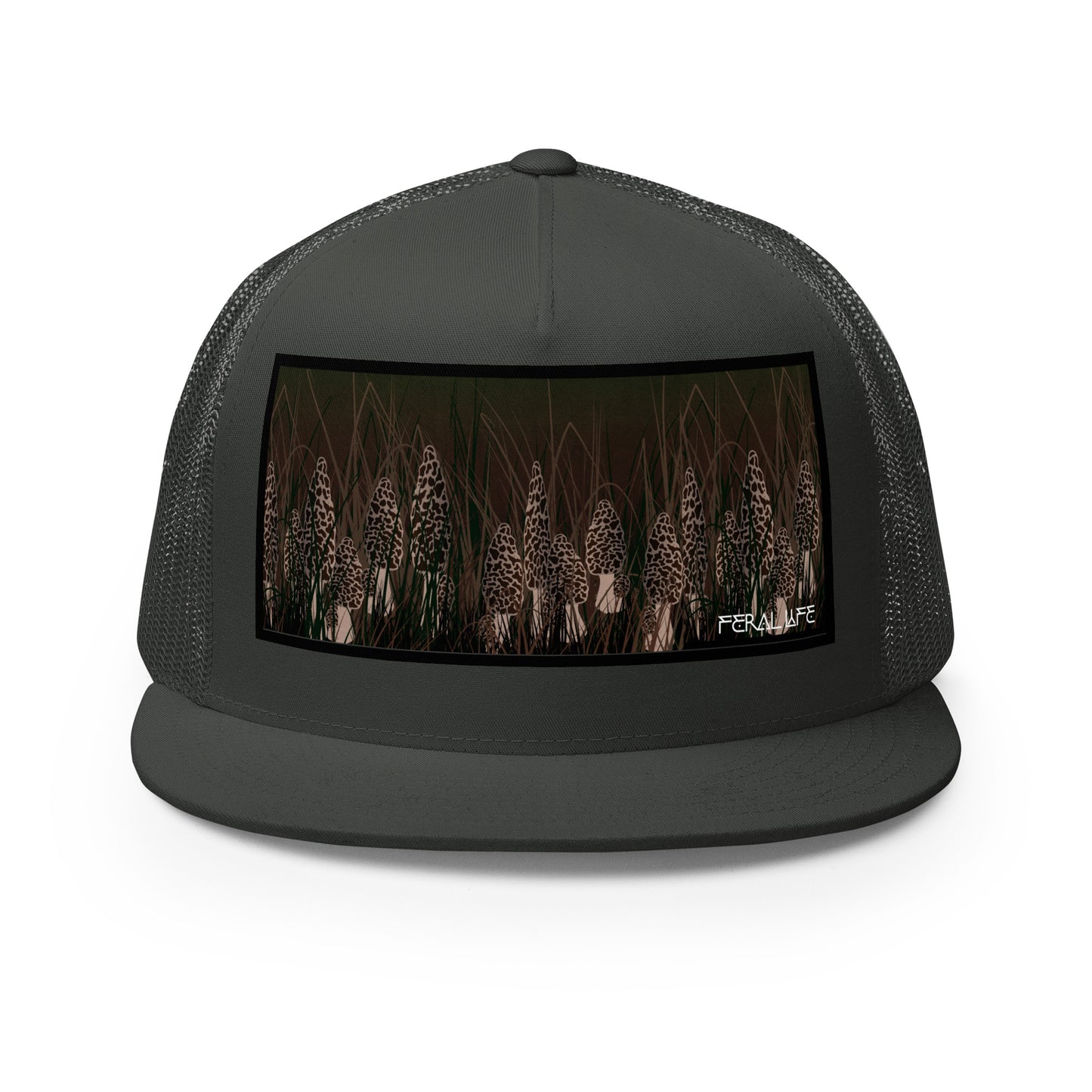 Morchella - Hat